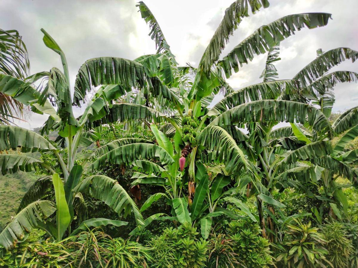 Finca Cuipo Buritaca Esterno foto